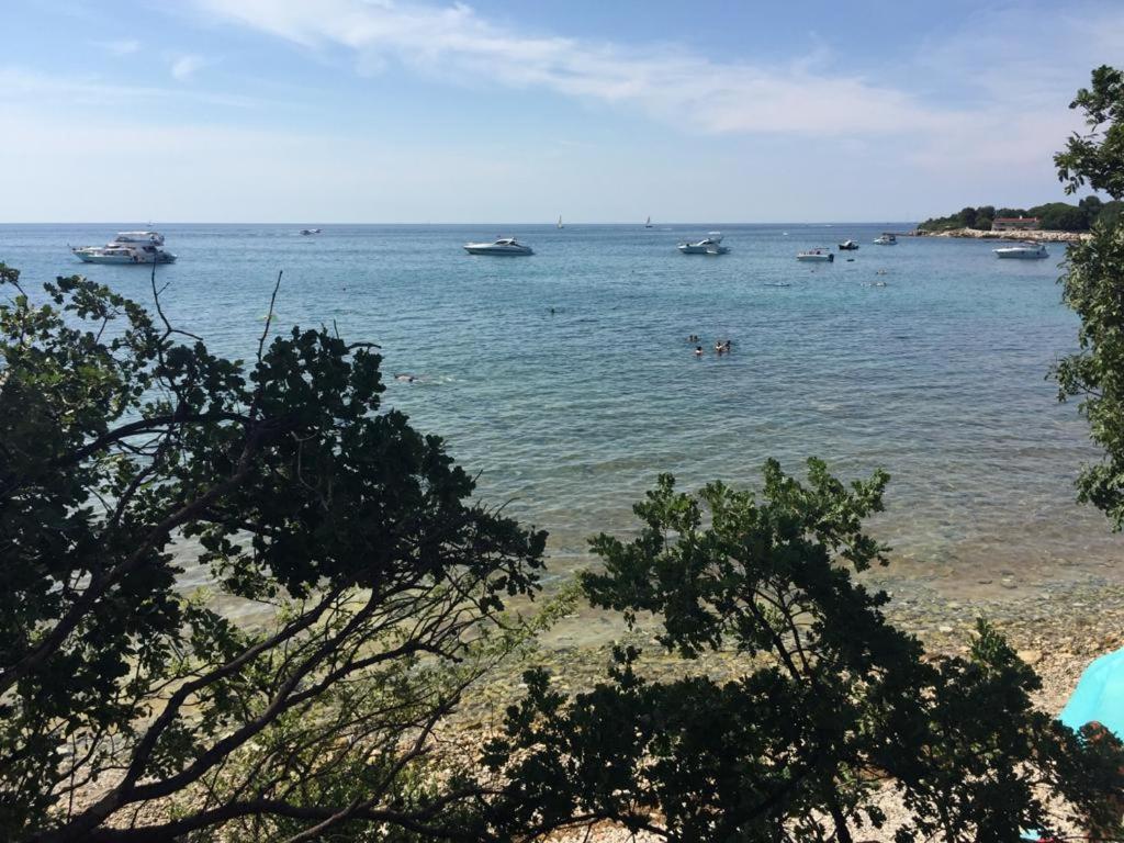 Valentina Apartment Novigrad  Luaran gambar
