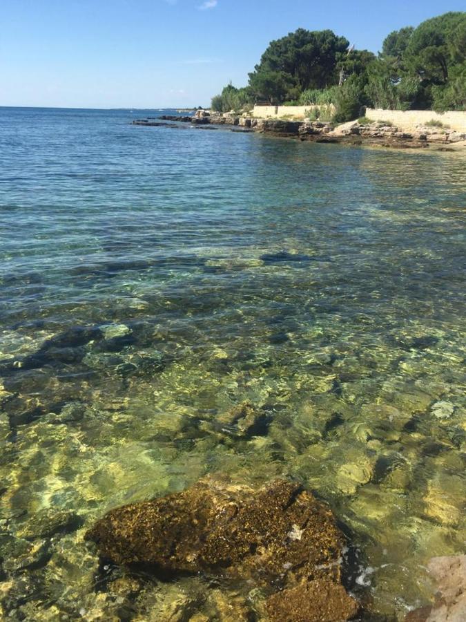 Valentina Apartment Novigrad  Luaran gambar