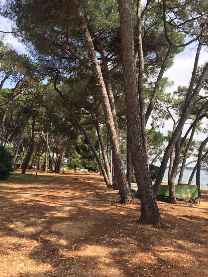 Valentina Apartment Novigrad  Luaran gambar